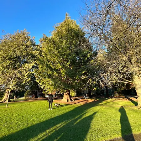 Adaline House Dublin