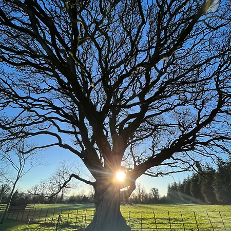 Hébergement de vacances Adaline House