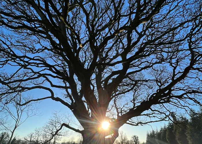 Nyaraló Adaline House