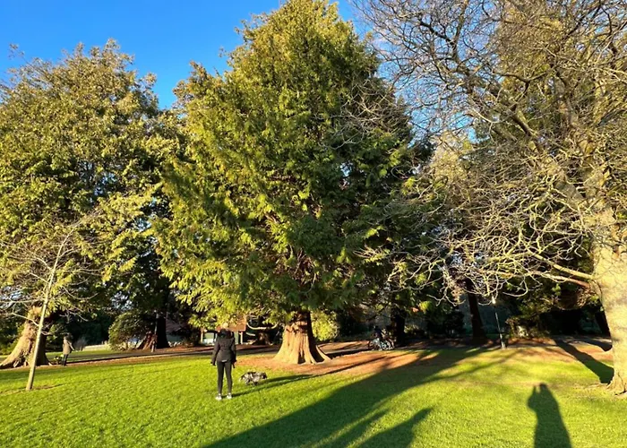 Adaline House Dublin